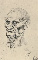 Testa di un vecchio tre quarti a sinistra, c1480 1945
