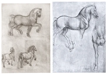 Cavalli, c1490-1510