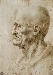 Studio della testa di un vecchio