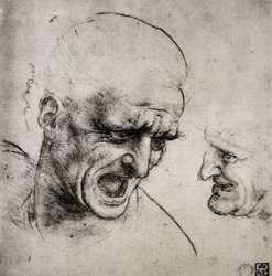 Studio per la Battaglia di Anghiari