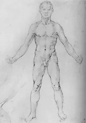 Uomo nudo con le braccia tese, visto di fronte, c1480