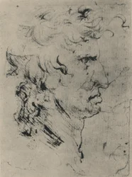 Profilo di un Uomo a Destra, c1480 1945