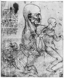 Profilo della testa di un uomo e studi di due cavalieri, c1490 e c1504
