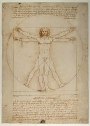 Schema delle proporzioni della figura umana secondo Vitruvio
