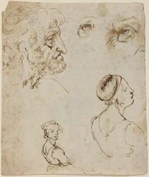 Foglio di studi