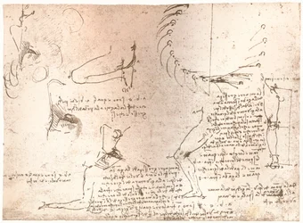 Schizzi che illustrano la teoria delle proporzioni della figura umana, c1472-c1519, 1883
