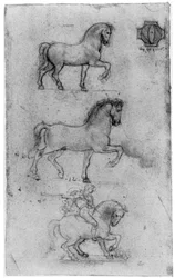 Studi per il Monumento Trivulzio, c1508 1954