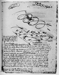 Studi di uccelli in volo quando si alzano e girano, 1928