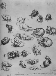Studi di gatti e di un drago, ca. 1480 1945