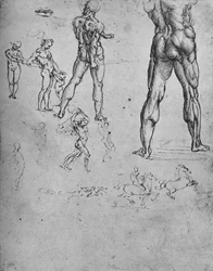 Studi di soldato nudo con spada e schizzi più piccoli, c1480