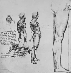Studi di nudi e piccolo schizzo di una battaglia, c1480
