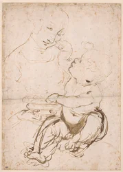 Studio per la Madonna con una ciotola di frutta