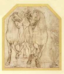 Studio di cavalli e cavalieri