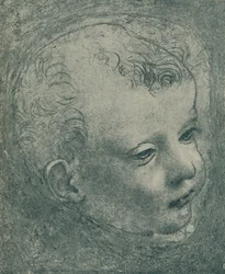 Studio della testa di un bambino