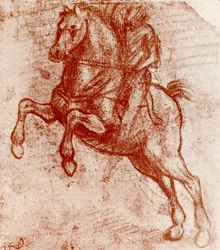 Studio di un cavaliere, di Leonardo Da Vinci