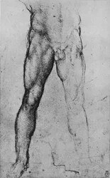 Studio della metà inferiore di un uomo nudo rivolto frontalmente, circa 1480, 1945