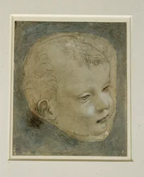 Testa di bambino di tre quarti a destra ...