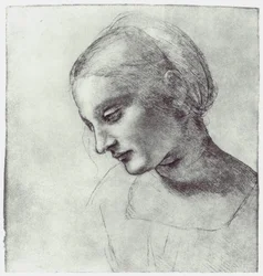 La testa di una Madonna, circa 1484-1486