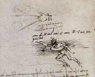 La palma e la boa, Codice Atlantico