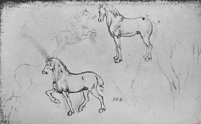 Due studi di cavalli, uno di un cavaliere al galoppo e altri di gambe di cavalli