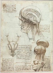 Immagine sconosciuta