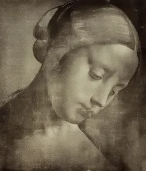 Testa femminile