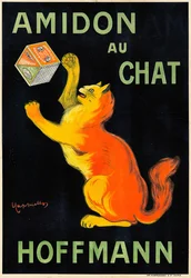 Amidon al Gatto