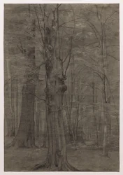 Alberi