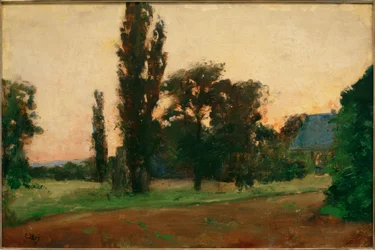 Atmosfera serale su paesaggio renano