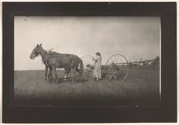 [Scena di fattoria, Massachusetts]