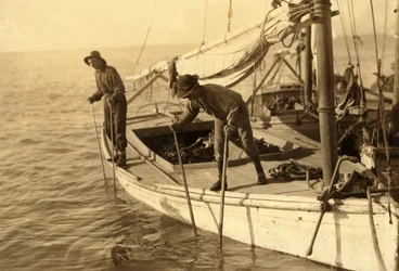 Fred, un giovane pescatore di ostriche, al lavoro su una barca per la pesca delle ostriche nella Baia di Mobile, la Barriera Corallina, vicino a Bayou La Batre
