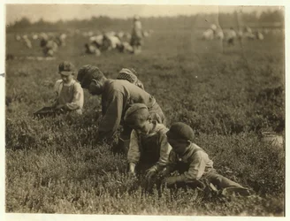 Jo Arnao 3, raccogliendo mirtilli con il fratello 6 e la sorella 9 a Whites Bog, Browns Mills, New Jersey, 1910