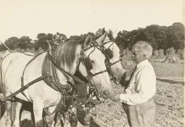 Senza titolo, ca. 1935