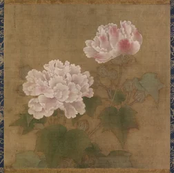 Rose di cotone rosse e bianche