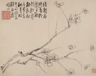 Album di prugne in fiore, 1742