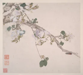 Insetti e fiori, datato 1865 (album di otto fogli; inchiostro e colore su carta)