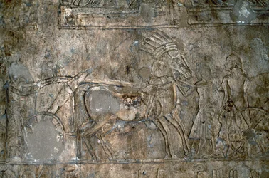Bassorilievo con carro, Necropoli di Tell el-Amarna, Egitto, civiltà egizia, Nuovo Regno, XVIII dinastia