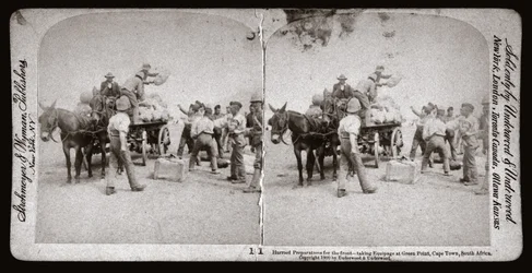 Guerra dei Boeri (Sudafrica)