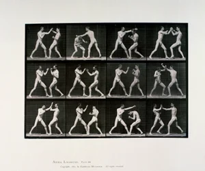 Atleti maschi nudi che boxano, c 1872-1885