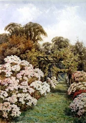 Un sentiero in giardino