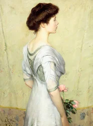 La rosa rosa