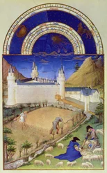 Facsimile di luglio: raccolta e tosatura delle pecore, dalle „Très Riches Heures du Duc de Berry“