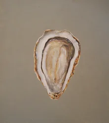 Ostrica 1