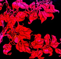 Rosso per la sorella di William, 2017 (tecnica mista)