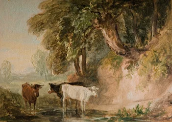 Scena pastorale con bestiame, [XIX secolo]