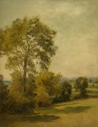 Albero in un Paesaggio