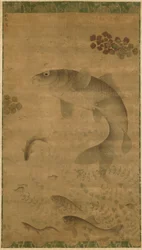 Carpa Saltante