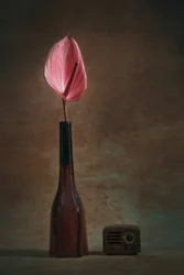 Elegante Anthurium e Radio