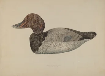 Anatra da richiamo n. 1, 1938
