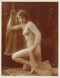 Nudo femminile con velo